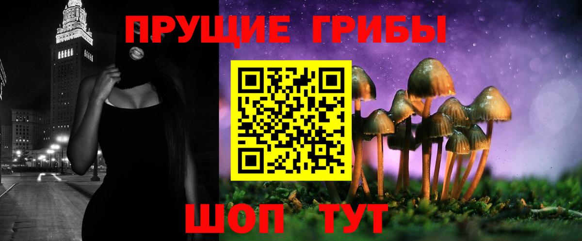 Знаменск  Псилоцибиновые грибы мицелий  закладка  Вход с VPN 