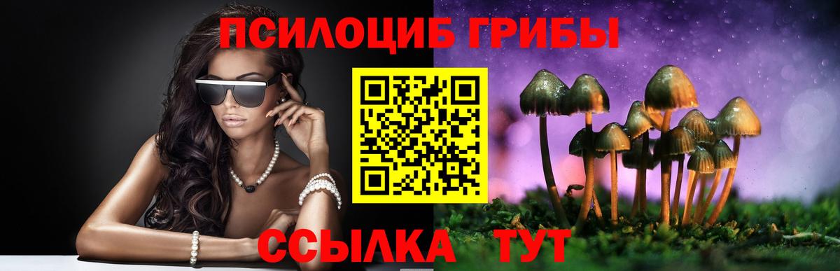 Псилоцибиновые грибы MAGIC MUSHROOMS Знаменск